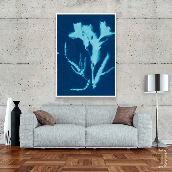 Cianotipo no 17 | Cuadro Botánico | Cuadros Fine Art