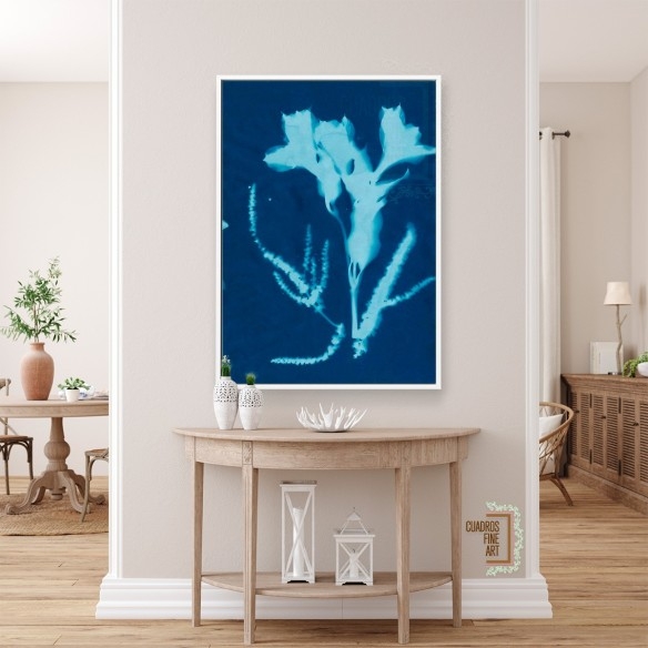 Cianotipo no 17 | Cuadro Botánico | Cuadros Fine Art
