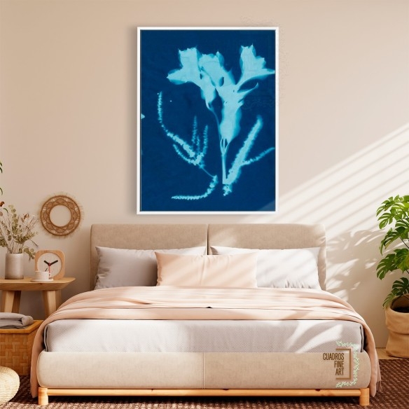 Cianotipo no 17 | Cuadro Botánico | Cuadros Fine Art