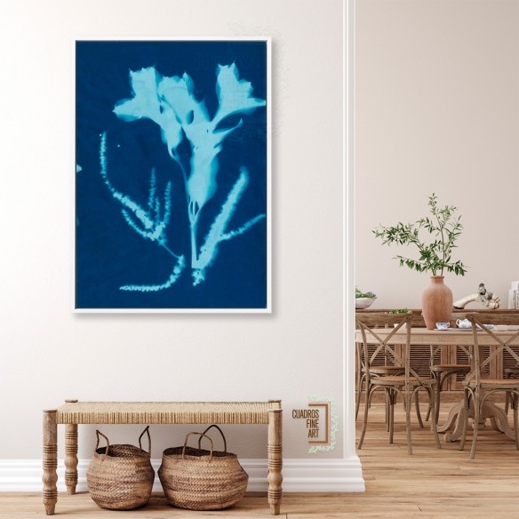 Cianotipo no 17 | Cuadro Botánico | Cuadros Fine Art