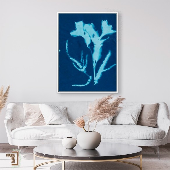Cianotipo no 17 | Cuadro Botánico | Cuadros Fine Art