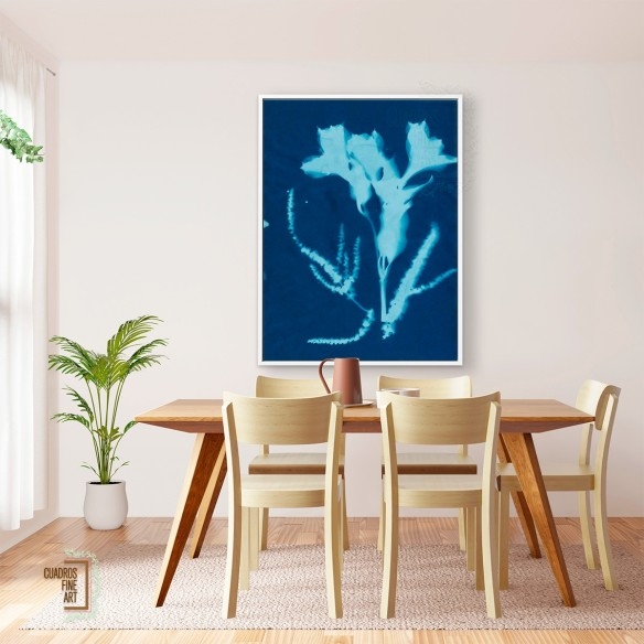 Cianotipo no 17 | Cuadro Botánico | Cuadros Fine Art