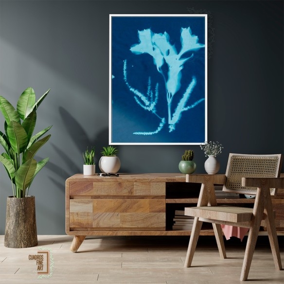 Cianotipo no 17 | Cuadro Botánico | Cuadros Fine Art