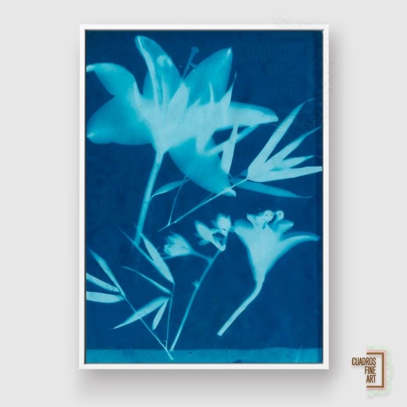 Cianotipo No.18 | Arte Botánico | Cuadros Fine Art