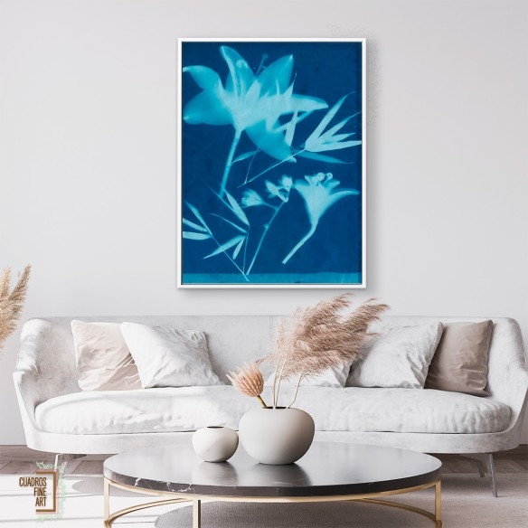 Cianotipo No.18 | Arte Botánico | Cuadros Fine Art