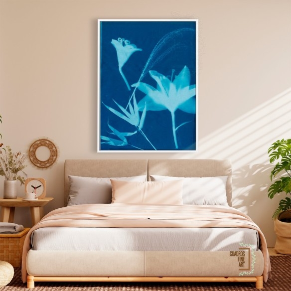 Cianotipo No.19 | Fotografía Botánica | Cuadros Fine Art