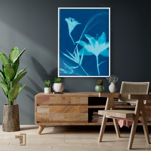 Cianotipo No.19 | Fotografía Botánica | Cuadros Fine Art
