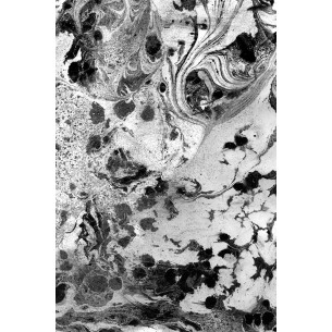 Obsidiana II | Cuadro Abstracto | Cuadros Fine Art