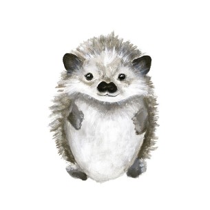 Pequeño erizo