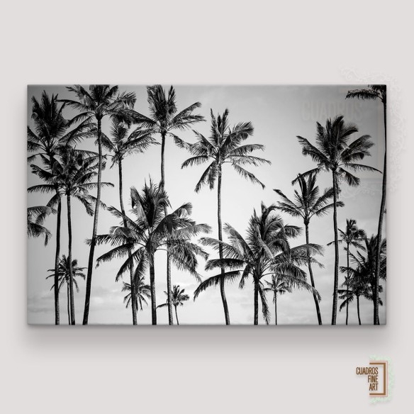 Paraíso de Palmas | Giclée Tropical | Cuadros Fine Art