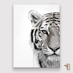 Tigre blanco 2