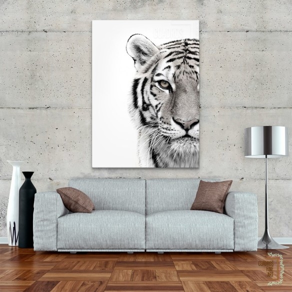 Tigre blanco | Cuadro Tigre Blanco y Negro | Cuadros Fine Art