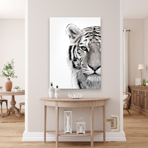 Tigre blanco | Cuadro Tigre Blanco y Negro | Cuadros Fine Art