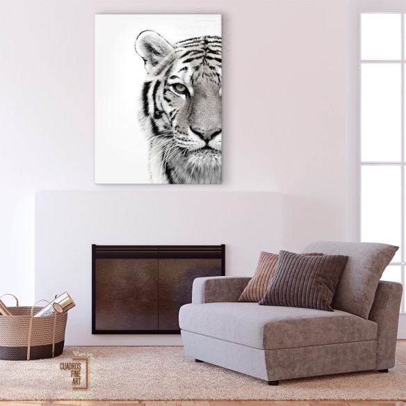 Tigre blanco | Cuadro Tigre Blanco y Negro | Cuadros Fine Art
