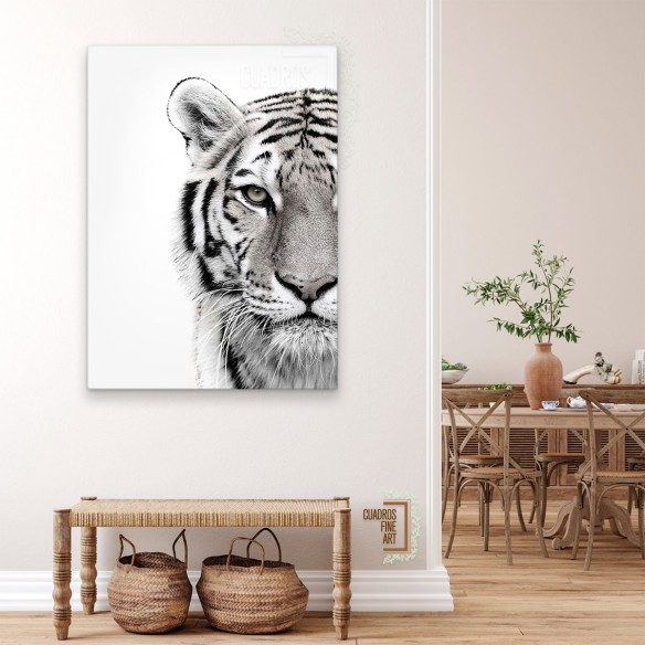 Tigre blanco | Cuadro Tigre Blanco y Negro | Cuadros Fine Art