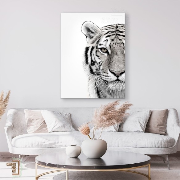 Tigre blanco | Cuadro Tigre Blanco y Negro | Cuadros Fine Art