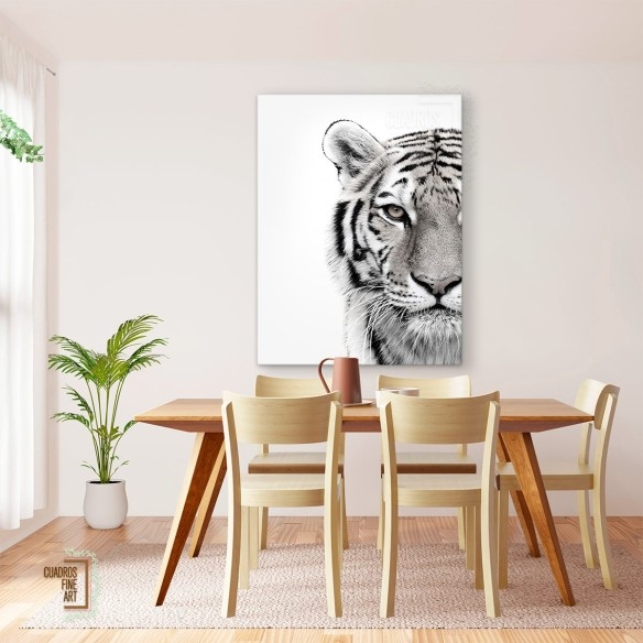 Tigre blanco | Cuadro Tigre Blanco y Negro | Cuadros Fine Art