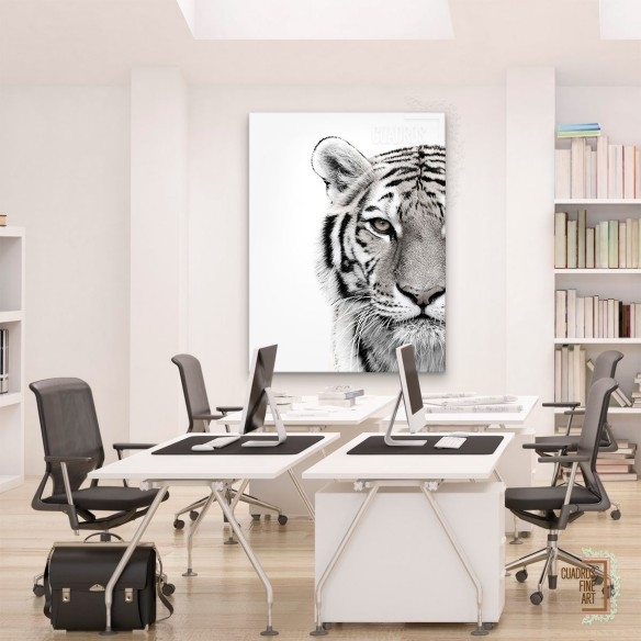 Tigre blanco | Cuadro Tigre Blanco y Negro | Cuadros Fine Art