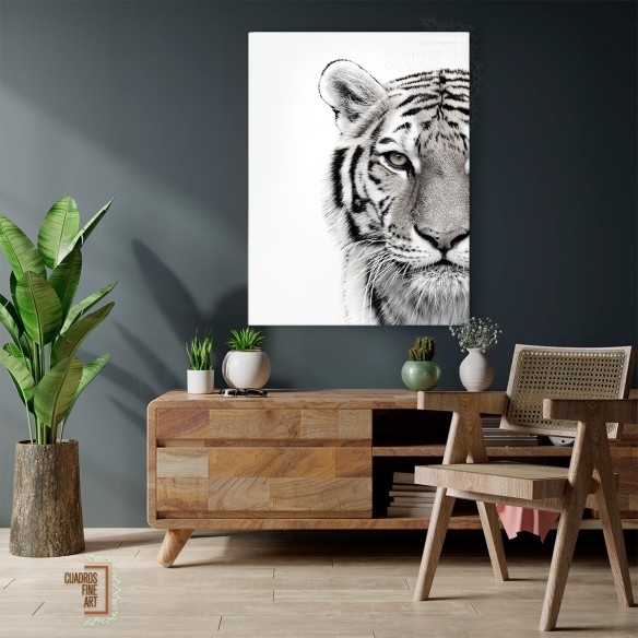 Tigre blanco | Cuadro Tigre Blanco y Negro | Cuadros Fine Art