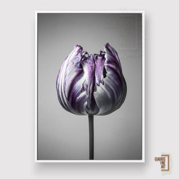 Barroco 5 | Cuadro Floral Fine Art | Cuadros Fine Art