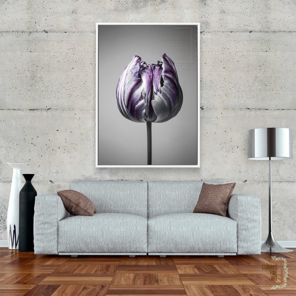 Barroco 5 | Cuadro Floral Fine Art | Cuadros Fine Art