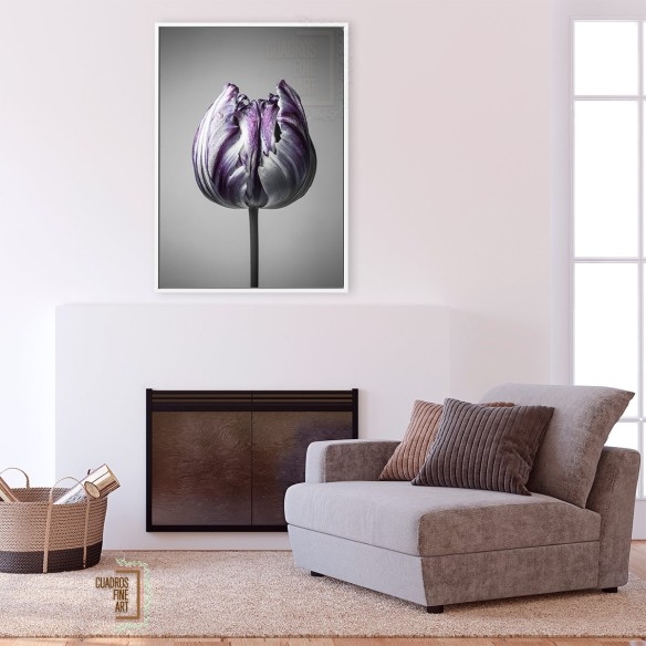 Barroco 5 | Cuadro Floral Fine Art | Cuadros Fine Art
