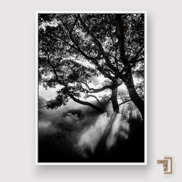 Negro nebuloso | Cuadro Paisaje Fine Art | Cuadros Fine Art