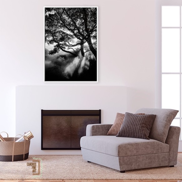 Negro nebuloso | Cuadro Paisaje Fine Art | Cuadros Fine Art
