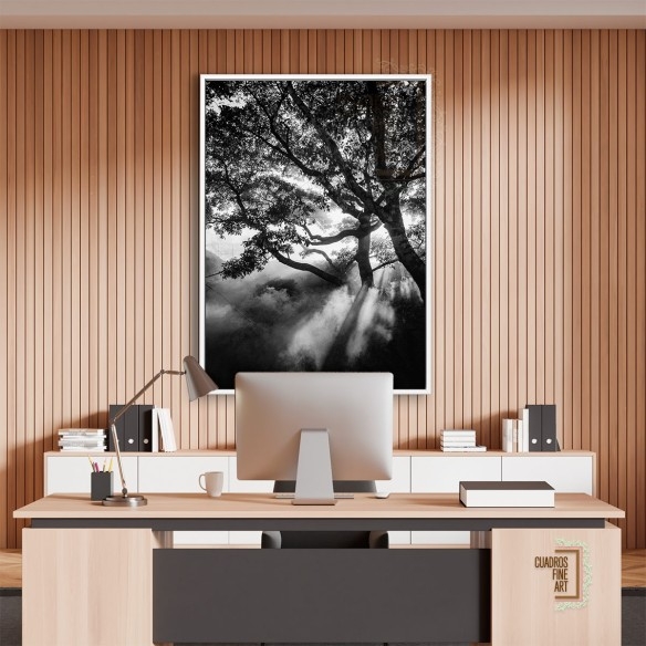 Negro nebuloso | Cuadro Paisaje Fine Art | Cuadros Fine Art