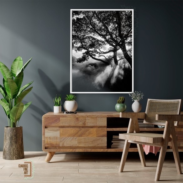 Negro nebuloso | Cuadro Paisaje Fine Art | Cuadros Fine Art